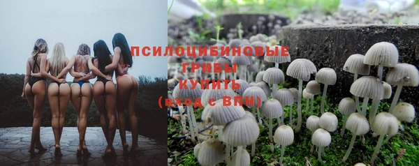 спиды Балахна