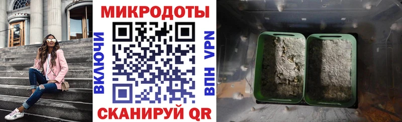 МЕГА ССЫЛКА  Глазов  Галлюциногенные грибы Psilocybine cubensis 